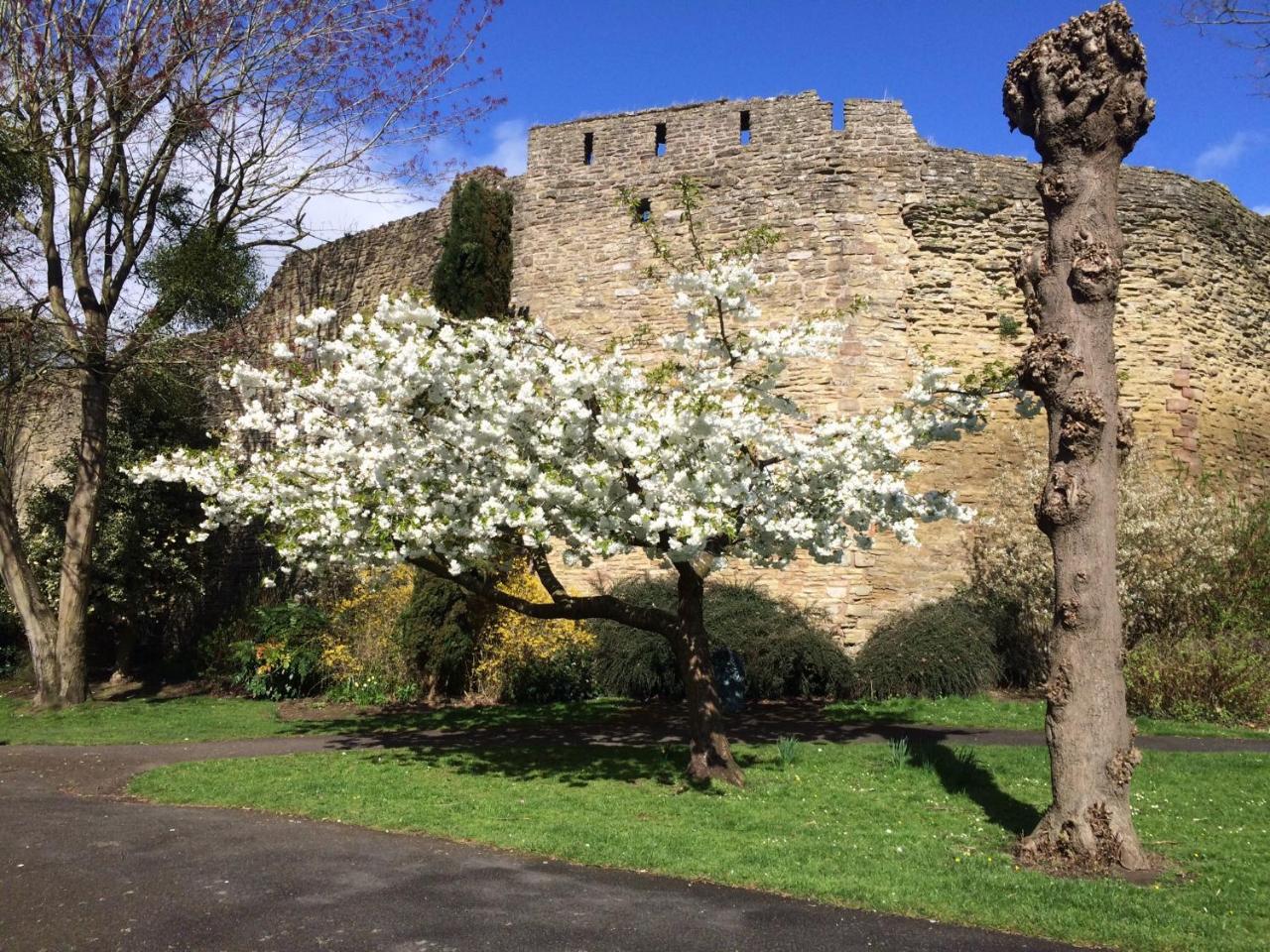 Dinham Hall & Elliotts Bistro Hotel Ludlow Exterior photo