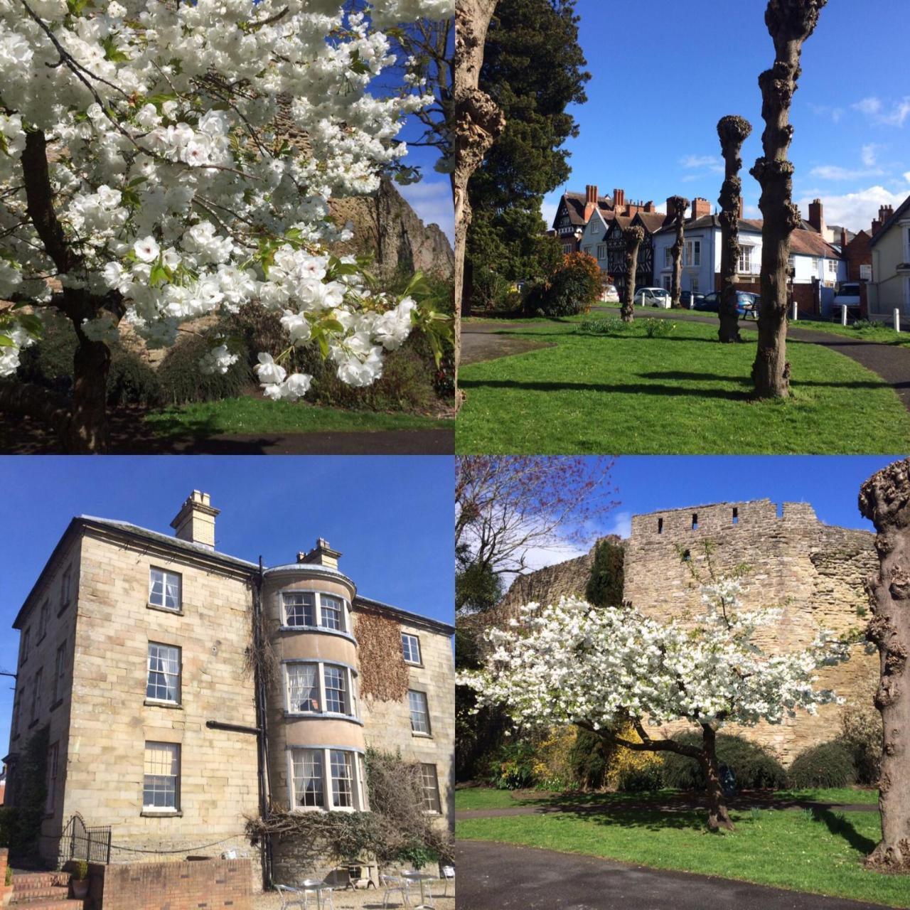 Dinham Hall & Elliotts Bistro Hotel Ludlow Exterior photo